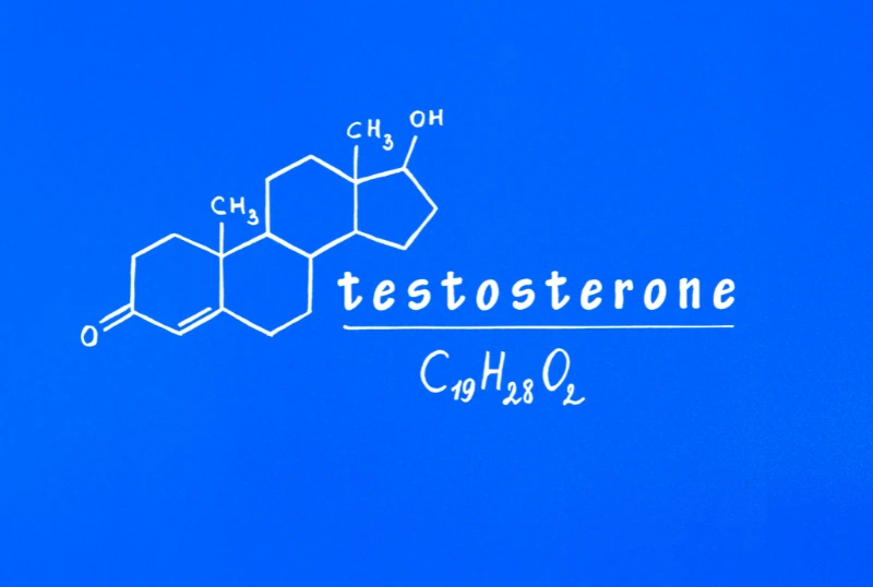 Testosterone therapy for women